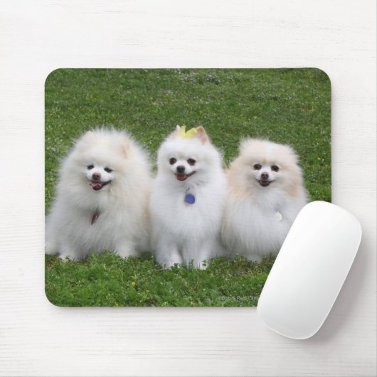 3 Spitz-Sitzen Mousepad (Mit Mouse)