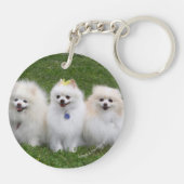 3 Spitz-Sitzen Schlüsselanhänger (Rückseite)