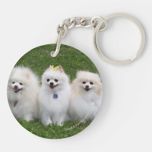 3 Spitz-Sitzen Schlüsselanhänger (Rückseite)