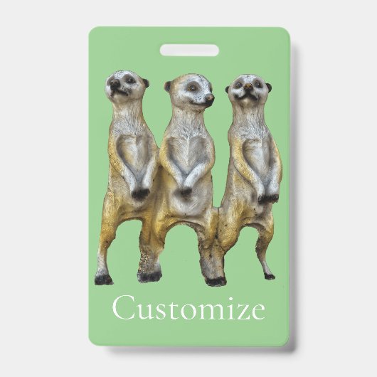 3 Stehend Meerkats Thunder_Cove Ausweis (Vorderseite)