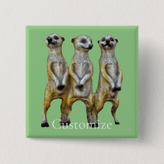 3 Stehend Meerkats Thunder_Cove Button (Vorderseite)