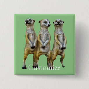3 Stehend Meerkats Thunder_Cove Button