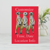 3 Stehend Meerkats Thunder_Cove Einladung (Stehend Vorderseite)