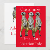 3 Stehend Meerkats Thunder_Cove Einladung (Vorne/Hinten)