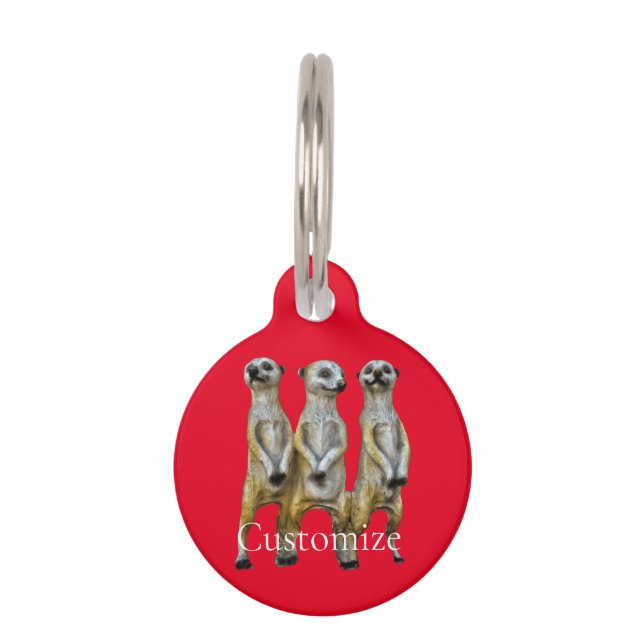 3 Stehend Meerkats Thunder_Cove Haustiermarke (Vorderseite)
