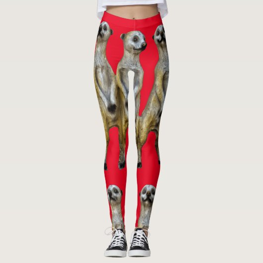 3 Stehend Meerkats Thunder_Cove Leggings (Vorderseite)
