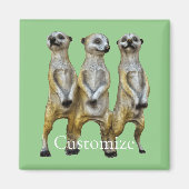 3 Stehend Meerkats Thunder_Cove Magnet (Vorne)