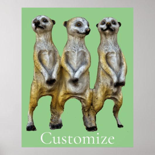 3 Stehend Meerkats Thunder_Cove Poster (Vorne)