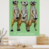 3 Stehend Meerkats Thunder_Cove Poster (Küche)