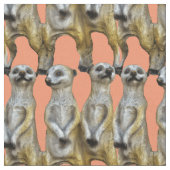 3 Stehend Meerkats Thunder_Cove Stoff (Nahaufnahme)