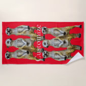3 Stehend Meerkats Thunder_Cove Strandtuch (Vorderseite)