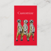 3 Stehend Meerkats Thunder_Cove Visitenkarte (Vorderseite)