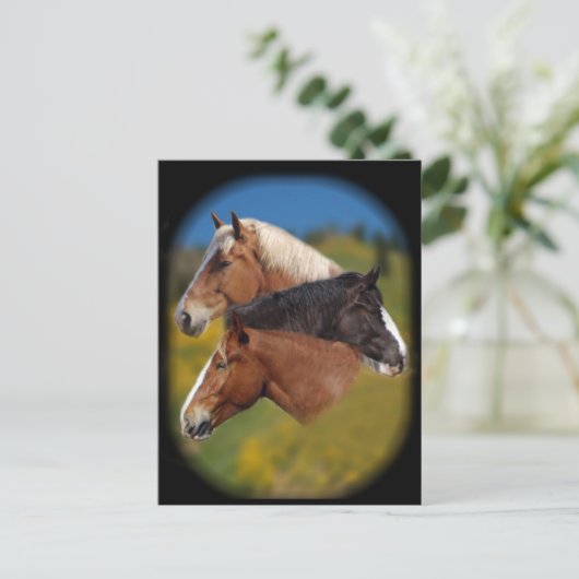 3 Stuhlköpfe Postkarte (Stehend Vorderseite)