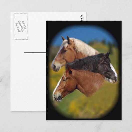 3 Stuhlköpfe Postkarte (Vorne/Hinten)