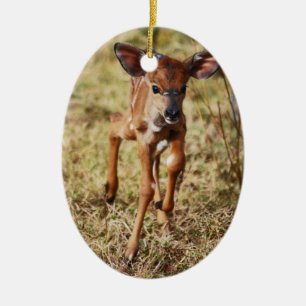 3 Tagesalte Baby Nyalarotwild Keramik Ornament