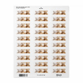 3 teddy bears  (Vorne)