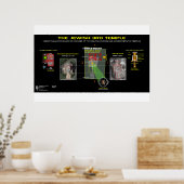 3. Temple-Anthropormorphie Poster (Küche)