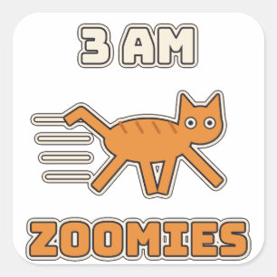 3 Uhr nachts Zoomies Lustige Chaotische Katze Quadratischer Aufkleber