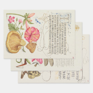 3 verschiedene Vintage-Gartenszenen Blumen, Insekt Geschenkpapier Set