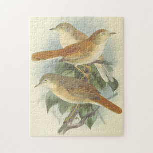 3 Vögel auf einem Ast Puzzle