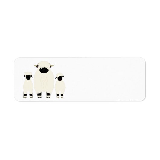 3 Walliser Schwarzer Nasenschaf in einer Reihe (Vorne)