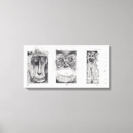 3 Weiße Affen für Affenjahr 2016 Leinwand (Vorderseite)