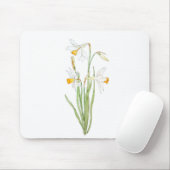 3 weiße Narzissen in Farbe und Aquarell Mousepad (Mit Mouse)