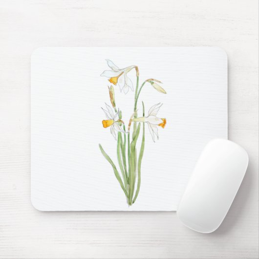 3 weiße Narzissen in Farbe und Aquarell Mousepad (Mit Mouse)