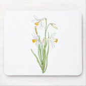 3 weiße Narzissen in Farbe und Aquarell Mousepad (Vorne)