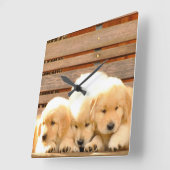 3 Welpen-Uhr Quadratische Wanduhr (Winkel)