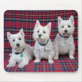 3 Westies Mousepad (Vorne)