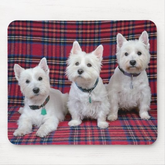 3 Westies Mousepad (Vorne)
