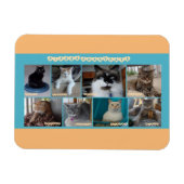 3 x 4 flexibler Magnet (Horizontal)