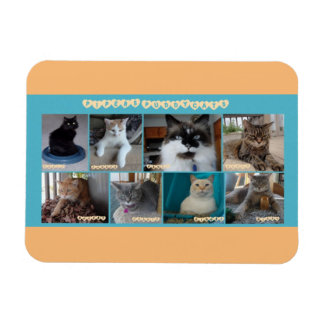 3 x 4 flexibler Magnet