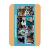 3 x 4 flexibler Magnet (Vertikal)