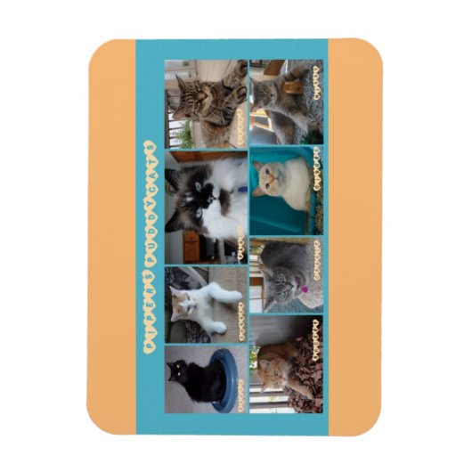 3 x 4 flexibler Magnet (Vertikal)