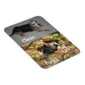 3" x 4" Sauberer/schmutziger Beagle Foto Geschirrs Magnet (Rechte Seite)