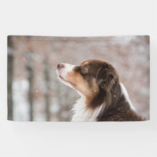 3' x 5' Banner (Horizontal)