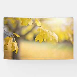 3' x 5' Banner