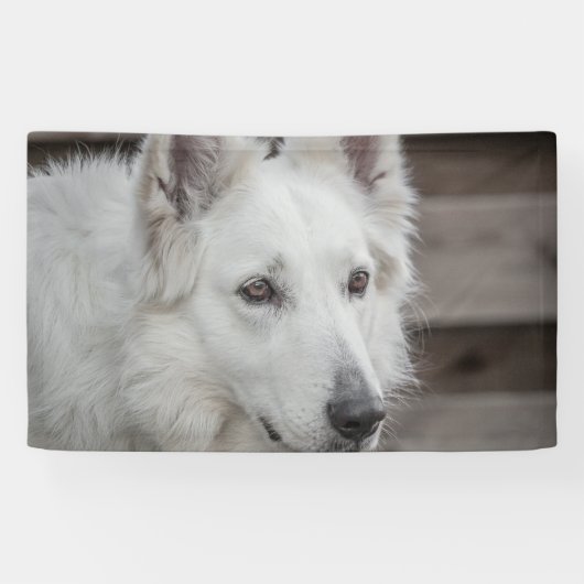 3' x 5' Banner (Horizontal)