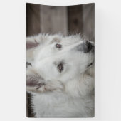3' x 5' Banner (Vertikal)
