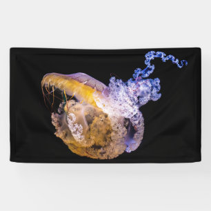 3' x 5' Banner