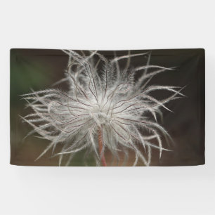 3' x 5' Banner