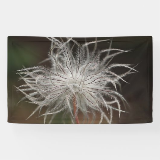 3' x 5' Banner (Horizontal)
