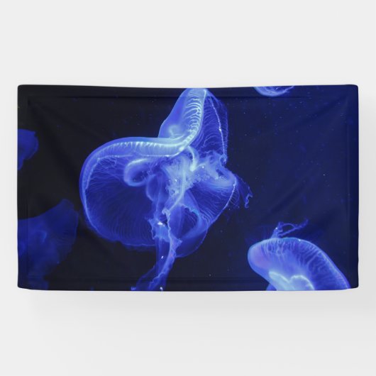 3' x 5' Banner (Horizontal)