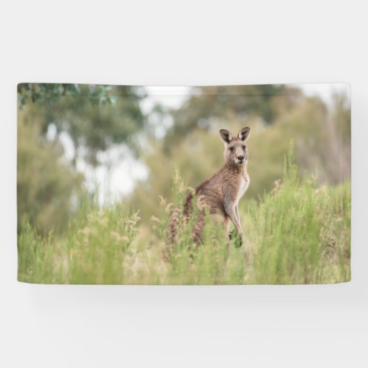 3' x 5' Banner (Horizontal)