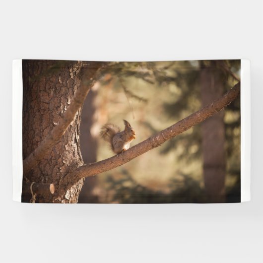 3' x 5' Banner (Horizontal)