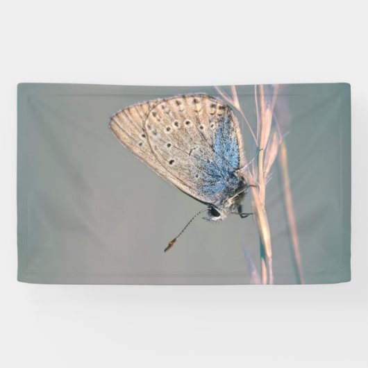 3' x 5' Banner (Horizontal)