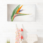 3' x 5' Banner (Insitu)