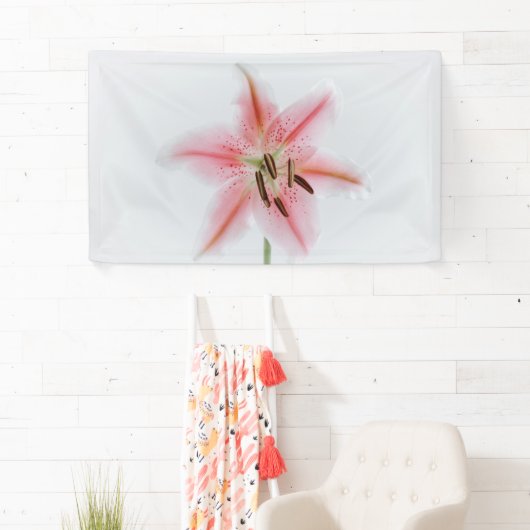 3' x 5' Banner (Insitu)